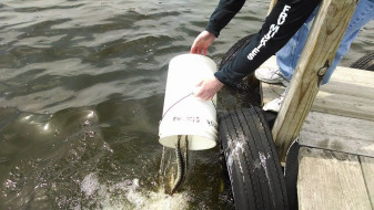 10336828_10202708108836888_5896975284534426413_n