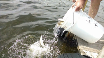 10336849_10202708109196897_6044393423418904840_n