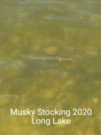 138937837_10226028285440336_8378449548673660384_n