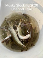 139219383_10226028286080352_9163534876929326113_n