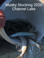 139574896_10226028285960349_5559237794291300498_n