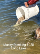 139644153_10226028290120453_6238501320848436318_n