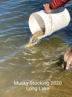 141119794_10226028288000400_2775705565422825468_n