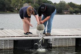 22196497_10215234996614861_8881376766422205570_n