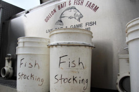 22279471_10215234997654887_988518180746586944_n