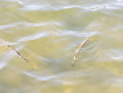 271545440_10228409897939160_6262086630141957701_n