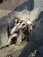 271587857_10228409896619127_8260138489623930752_n