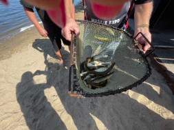 271593840_10228409897579151_35782083931171622_n