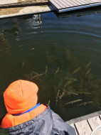 45586537_10218690922370845_8981926013608919040_n