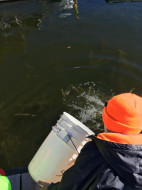 45628929_10218690919170765_1518211080176795648_n