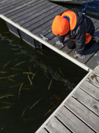 45645062_10218690921810831_4451493646776139776_n