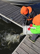 45685127_10218690921290818_3983006585587761152_n