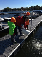 45713014_10218690922170840_4940215243788779520_n