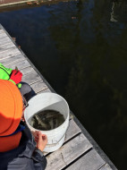 45748939_10218690918850757_7851783830129082368_n