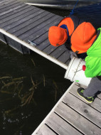 45804845_10218690920690803_422591096497897472_n