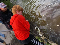 72406235_995981313905549_8034875575833198592_n