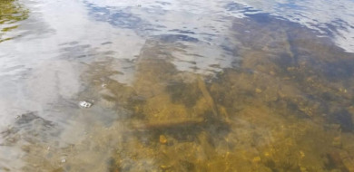 72484912_995981200572227_639994648734990336_n