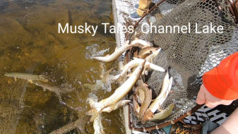 72765907_995975577239456_4532098174193500160_n