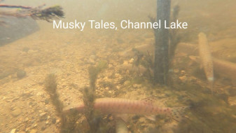 73017675_995975607239453_4235268075219320832_n