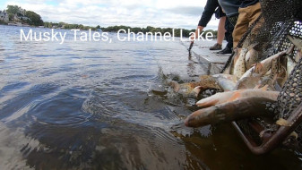 73122210_995975770572770_4592272276623196160_n