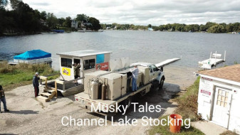 73300739_995975117239502_8979016997899599872_n