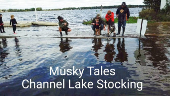 74229573_995975190572828_2097632593955520512_n