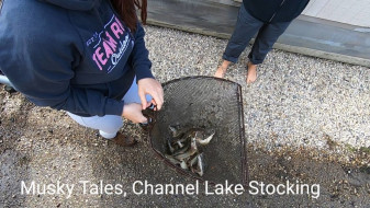 74302299_995975443906136_4890208595964067840_n