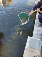 74475484_995981430572204_5381430439468597248_n