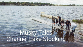 75010618_995975357239478_3103682679648813056_n